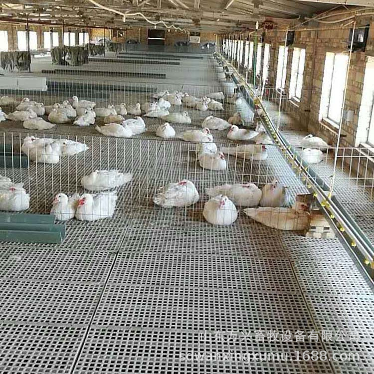鸡鸭鹅用纯料漏粪板养殖场用漏粪地板网防滑多规格万兴畜牧