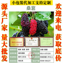 �²�ɣ��N�ӹ�ɣɣ�طN��ɣ����N��ɣ����N�Ӽ�ɣ