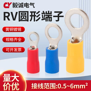 Cold-Pressed Terminal Block European Style Rv1.25-3.2 Round 2/3.5/5.5/4/5/6/8S Pre-Insulated Copper Nose