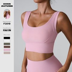 INS 2024 Cross-border New Sports Vest: Shockproof Sports Bra, High-Elastic Push-Up, Bare-Skin Feel Yoga Top with Built-in Bra