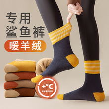 厚袜子女2024新款爆款纯棉秋冬款中筒冬季羊绒加绒加厚保暖高腰袜