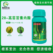 ����������Ȫ28��̦ܿ�؃����ײ��߲�ˮ�����a����ֲ�����L�{����