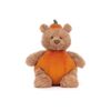 Pumpkin bear