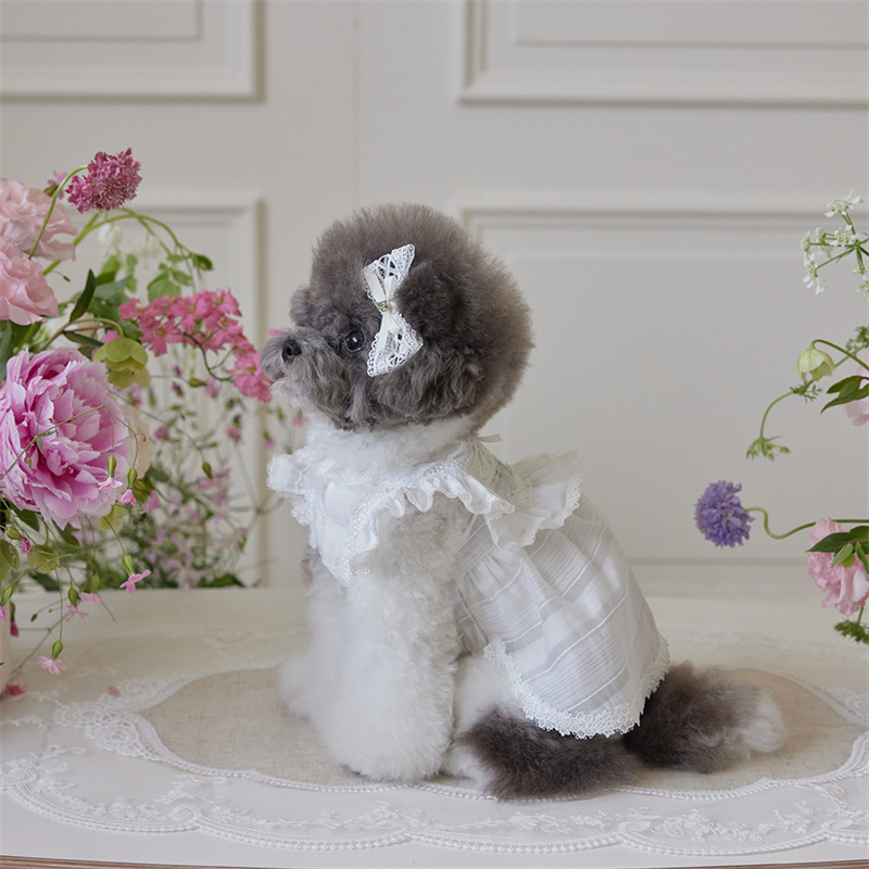 2025 mascota perro gato ropa primavera y verano algodón encaje falda a juego tocado horquilla