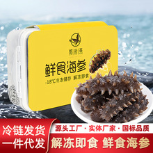 鲜食海参批发冰鲜大连辽参刺参源头工厂代发450g礼盒装冷链直达