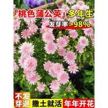 ɫѹӢNǧ^pɫ߀ꖅջNͥԺԻ