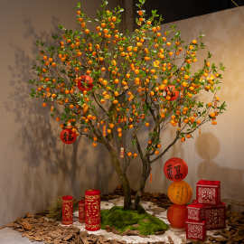 仿真橘子树许愿树室内外装饰红包树新中式人造假桔子树仿真树绿植