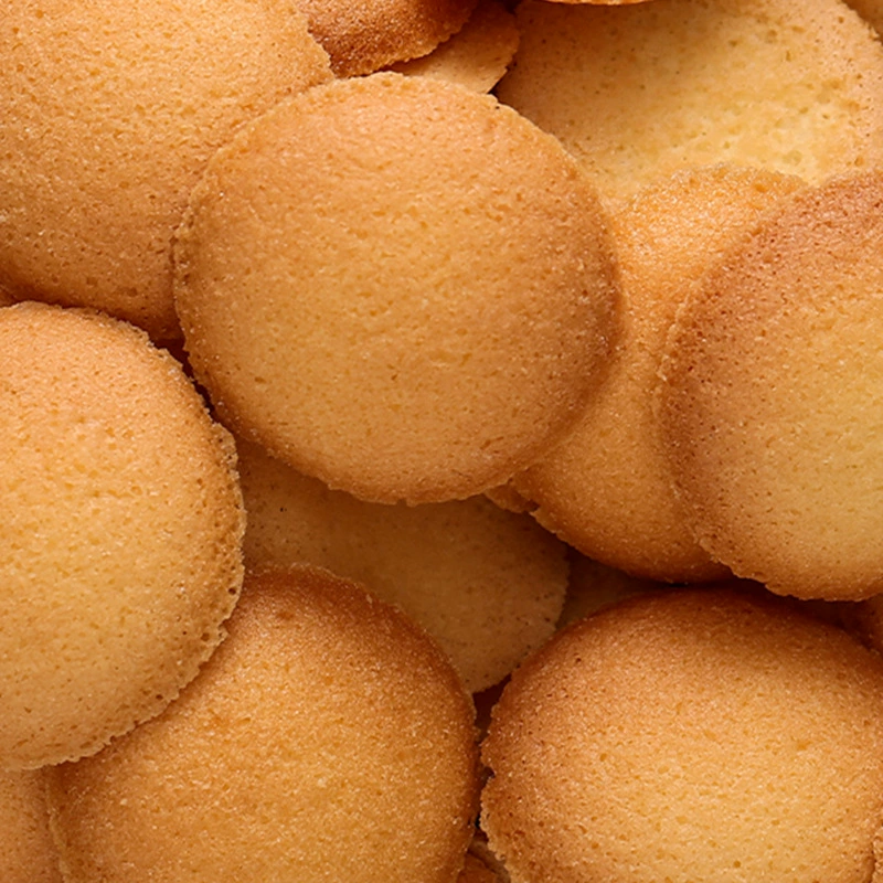 藤野一村 Japanese sea salt egg custard round biscuits crispy salty biscuits snacks Japanese round biscuits