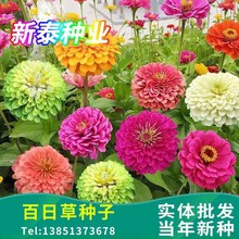 ղݷNҰMļ_ͺNͥԺ׻˹ջܻ