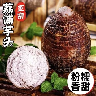 �V���������r�����^�������^�������^����F��ë���^���]����