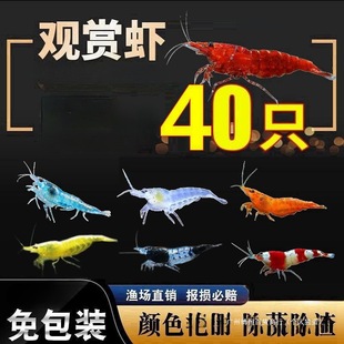 ����ѻ������r�ײͳ����r�r����Ҽ�O��ښ��rˮ���^�p�r�~������