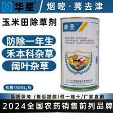 �����׳��ݡ��A��̩�}24%����&middot;ݬȥ����݄��F؛���l