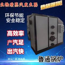 0.5吨全自动生物质蒸汽发生器烘干机发酵罐蒸煮烘干桑拿洗浴