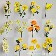 ���滨��c�����Sɫ�������l�ָл��Sɫ�ϼ��Ɍ����ɭϵ���@����