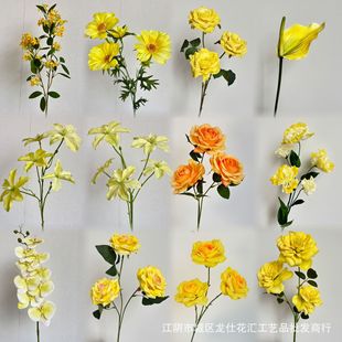 ���滨��c�����Sɫ�������l�ָл��Sɫ�ϼ��Ɍ����ɭϵ���@����