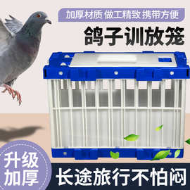 鸽子训放笼信鸽报道笼塑料运输笼拼接组装款鸽笼比赛用放飞笼专用