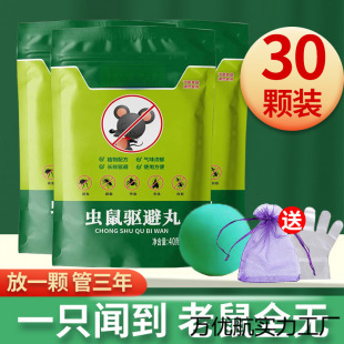 ������s����������������ș�҃�һ�C��������������l