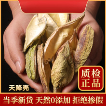 �콬��500�� ���»��콫����ˏ���� ���ҹ� �콵�ǹ���ư����