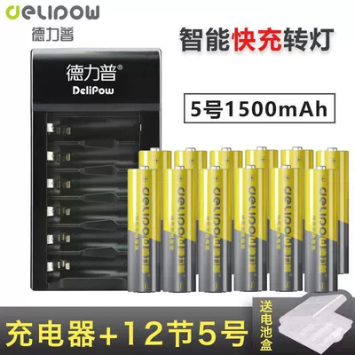 Hibrid akkumulyator batareyaları, Delip No.5 No.7 1.2V - 6-slot-turn-lamp-fast-charge-no5-1500mah-section-12