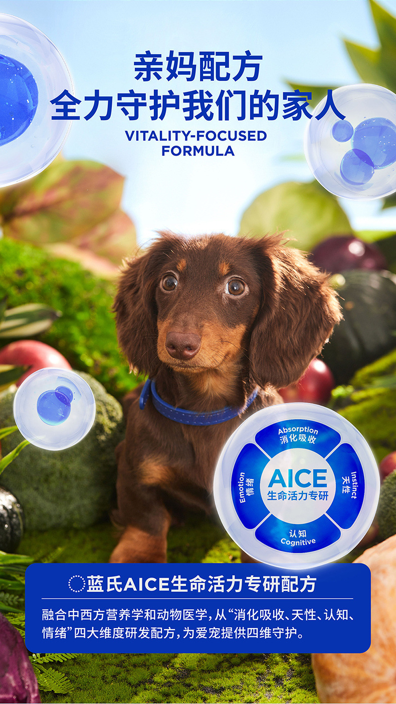 bfb8b3ad-3782-4346-82e2-757c23d1ccc7.jpe