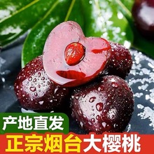 【京东速运】整箱当季新鲜国产水果烟台大樱桃3斤4J孕妇水果包邮