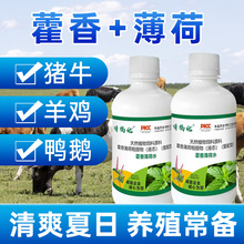 ޽�㱡��ˮ250ml���ݼ����Bֳ���ý��ؽ���������ӄ�