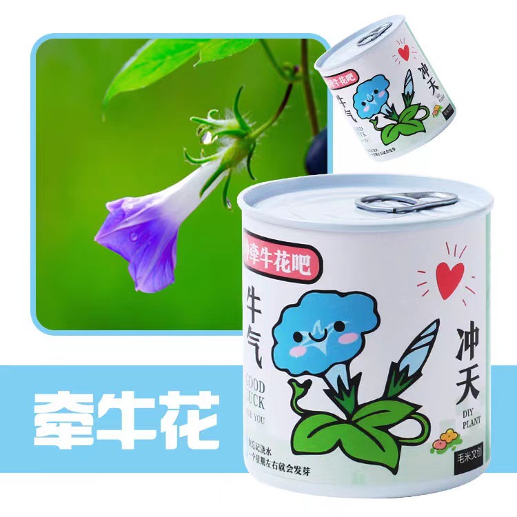 ֲް칫ҴɫСԻDIYֲѧͷƷ