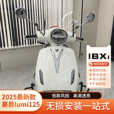 Rear Backrest Modification, Windscreen — Motorcycle tail