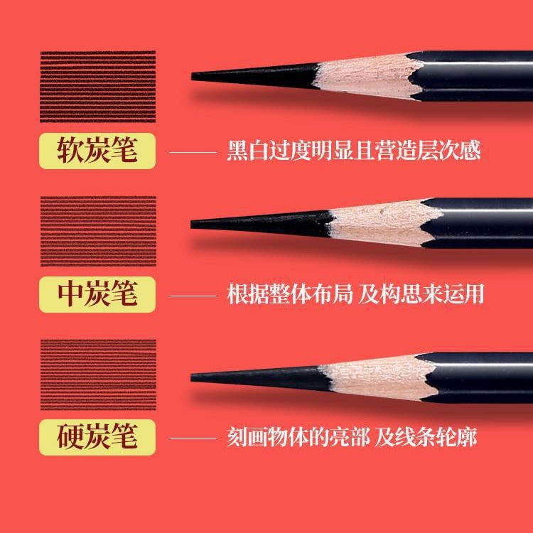 Sakura flor de sakura boceto lápiz de carbón especial para artistas de pintura de boceto de carbón blando lápiz blando medio duro