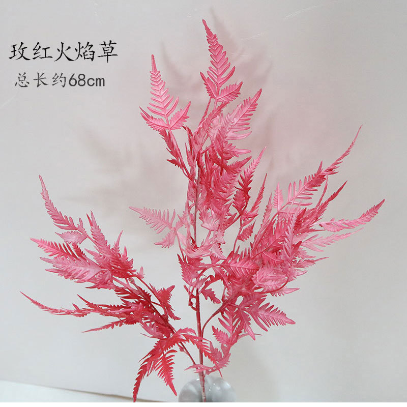 Rosa Roja llama hierba