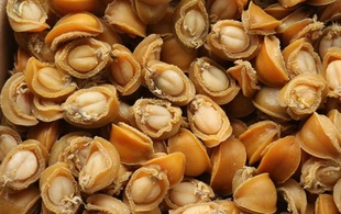 �U�~���Sֱ�N���l�Ǽ�ʳ���U�~��Ʒ�U�~���a���B�S���U