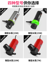 СˮˮиC_ۙCיCˮ~דQˮˮˮ