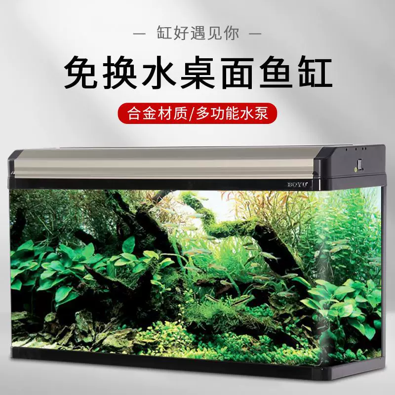 Glass aquarium, for teenagers