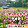 养蜂景观果园花海绿肥