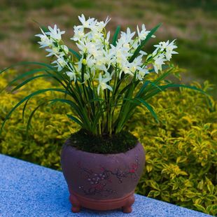 �m�ݰ�ѩ�����m������ֲ�����F�m���玧�������m���ܴ󱊇��m��