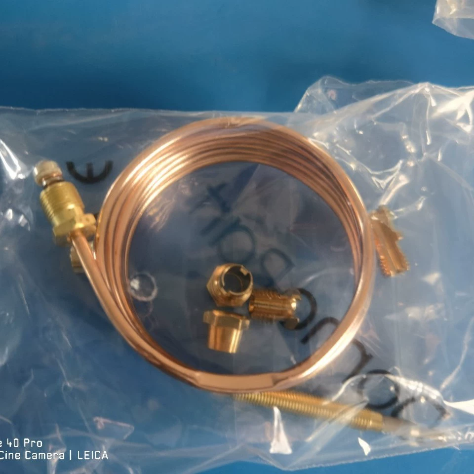 Из нержавеющей стали Электрический пар двусторонний контроль температуры микро-давление односторонний обратный клапан, защита растений импульсный латунный масляный ствол пистолет