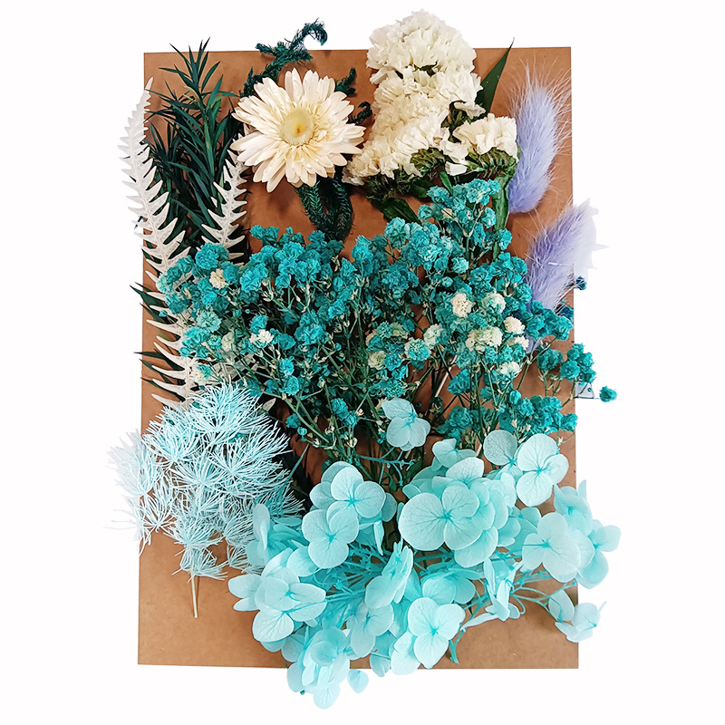 Flor seca flor eterna marco de fotos en relieve paquete de material combinación paquete de flores aromaterapia ventilador A5 bolsa de fábrica al por mayor transfronteriza