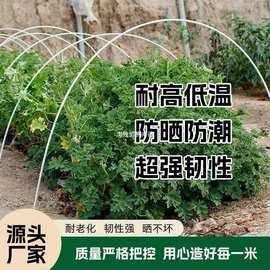 玻璃纤维杆硬质塑料棒风筝杆伞骨植物支撑杆玻璃纤维棒弹力绝缘棒