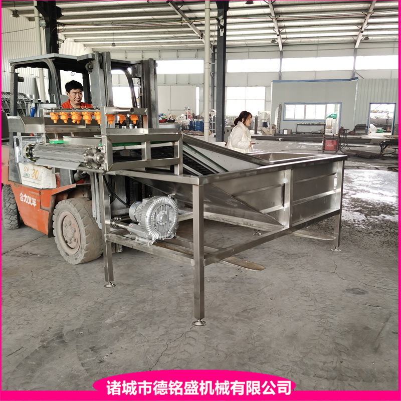 奥尔良鸡翅挂冰设备 海鲜渡冰包衣流水线 冻鸡爪挂冰机器