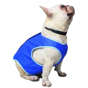 Factory pet cooling clothes dog cat cooling vest summer summer vest pet dog clothes Classic