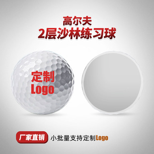 Factory Direct Sales Golf 2-Layer Sarin Practice Ball Customized Logo Blank Ball Printed Text Pattern