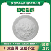 ֲ���޴�95%ֲ��̴�Plant sterol������ȡ����r���F؛���]