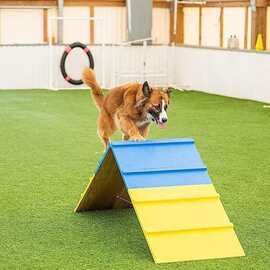 跨境新品警犬特训用品狗狗训练板木质搜救犬体能敏捷训练A字板
