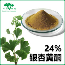 银杏黄酮24% 银杏叶提取物保健护肤原料粉银杏叶干燥粉银杏内脂