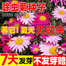 xջNȻòֲﻨNļ׷N_ͥԺ̨Ի