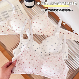 �����ٽz��߅�����ı���С�ؾ۔n�ո���l���ڸ�����͸��������