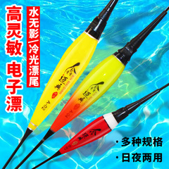 電子夜光漂日夜兩用浮漂鯽魚鯉魚大物電子漂潛水魚夜光浮漂批發