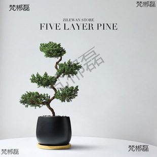 ����������Ի����҃ȿ͏dӭ����ֲ���辰�k���ҾGֲ���w�_�I
