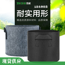 �o�����Nֲ��������羳DIY�Nֲ��ë�ֈAͰ���ݻ��ܘ�����ֲ��