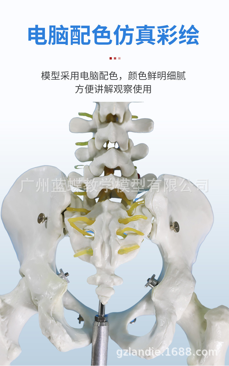 详情_05